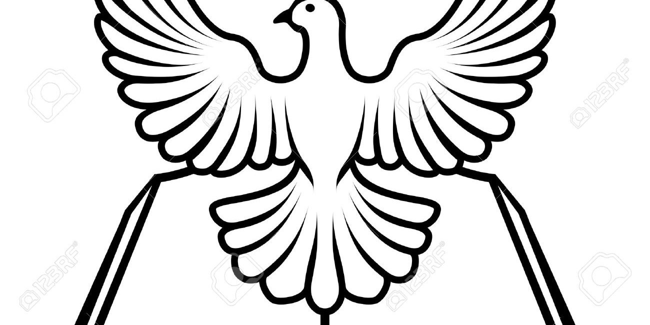 17962163-Christian-Bible-with-the-holy-spirit-in-the-form-of-a-white-dove—Stock-Vector