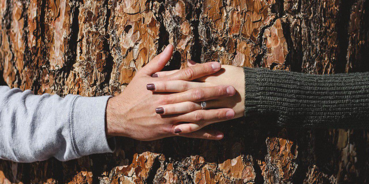 photo_2019-03-20_21-16-38